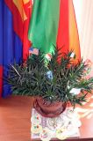 Изображение галереи 